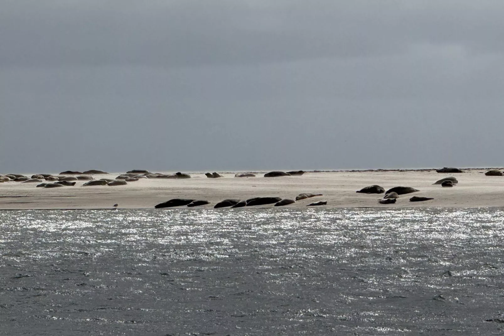 7 person holiday home in Fanø-By Traum-Water view