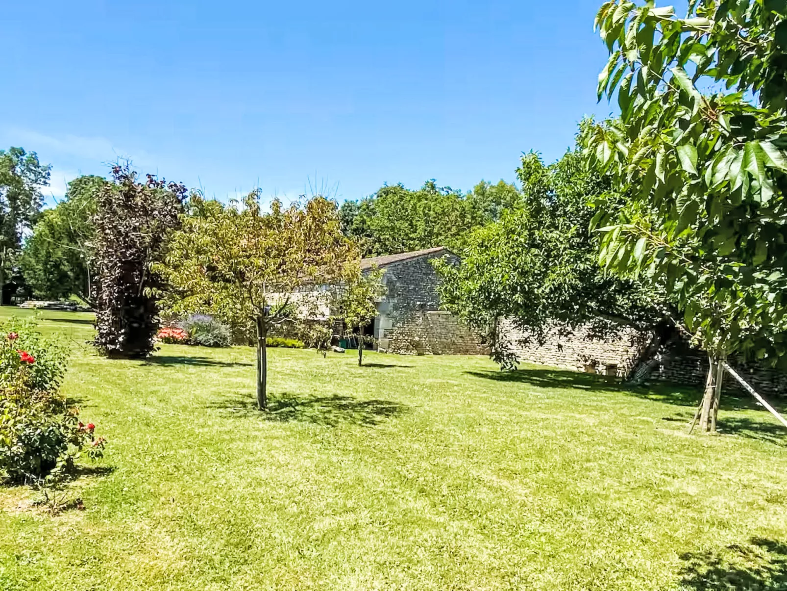 Ile d'Oléron-Dehors