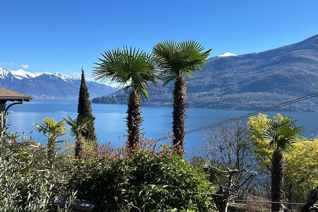 522572-Nicht zugeordnet