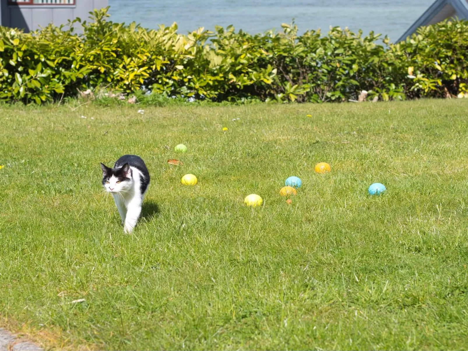 "Hilde" - 75m from the sea-Draußen