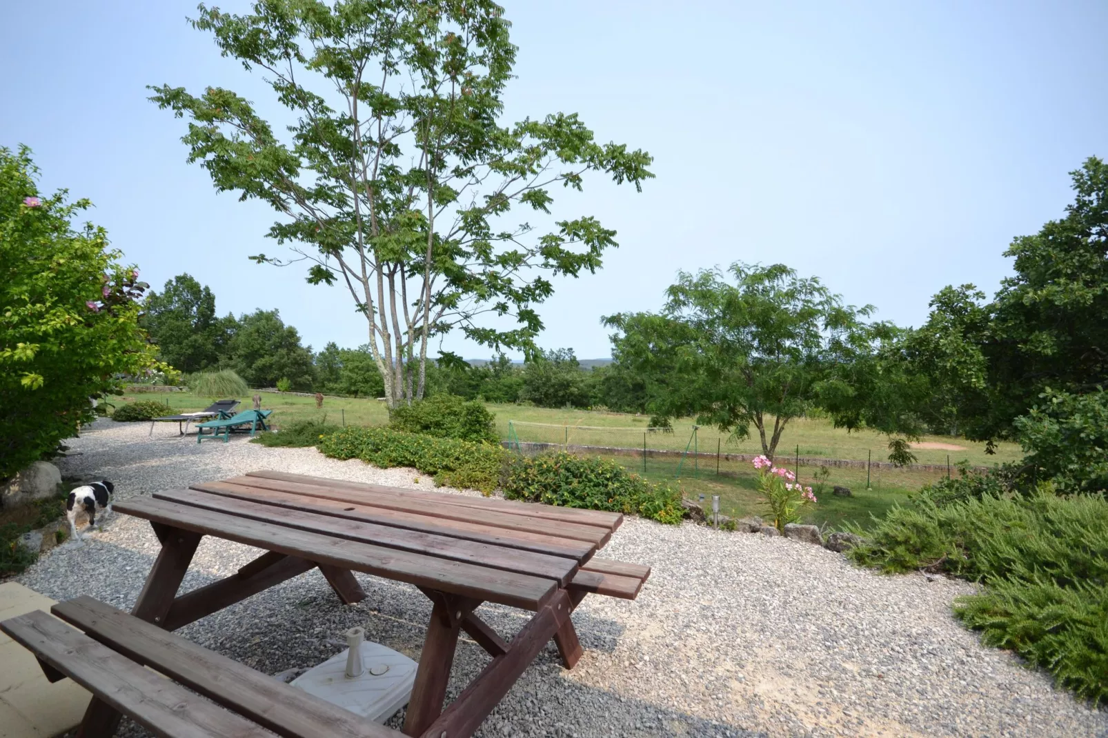 Appartement 6 personnes  Les Salamandres-Vue d'été