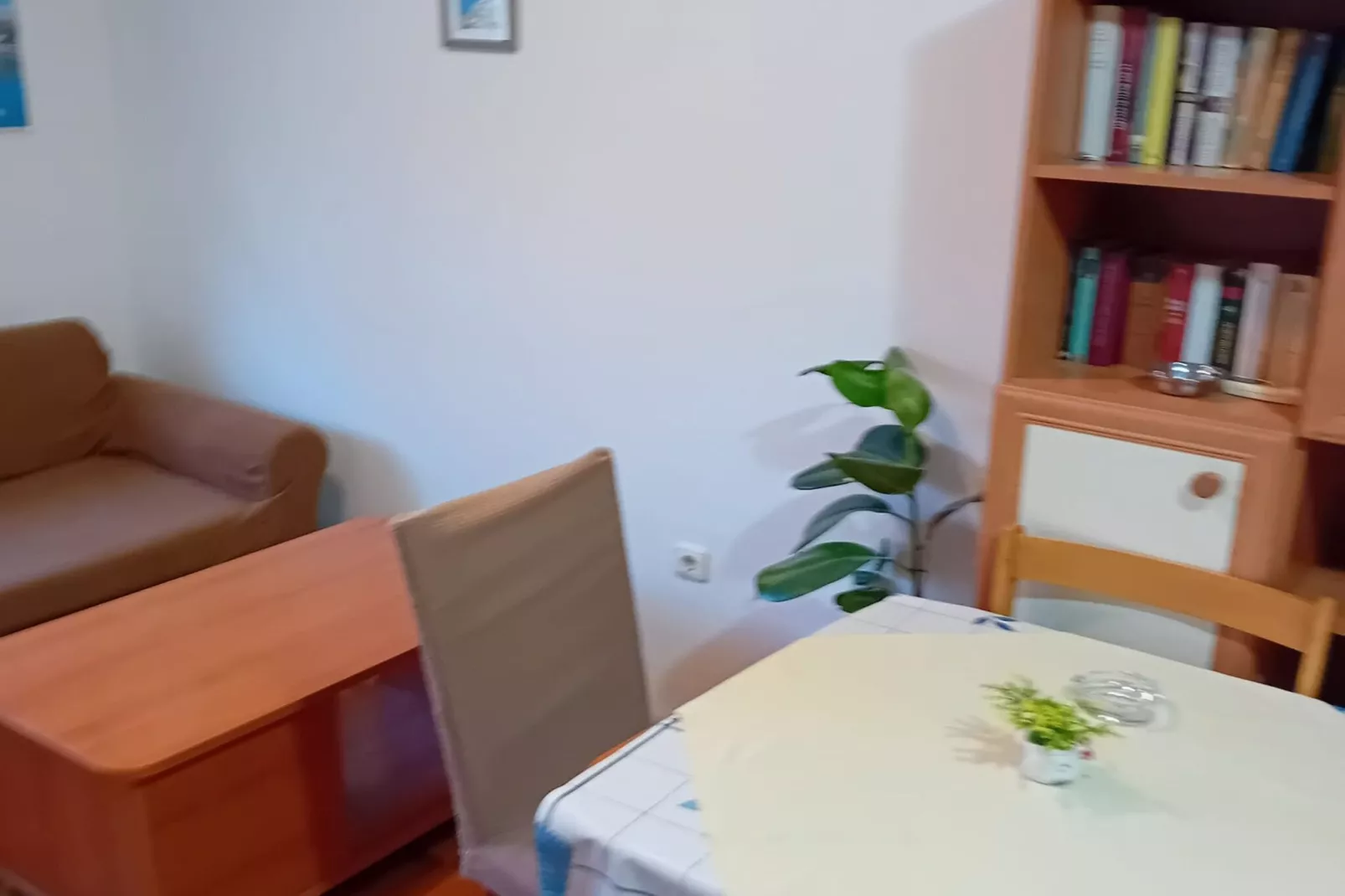 Apartments Petrova-Salon