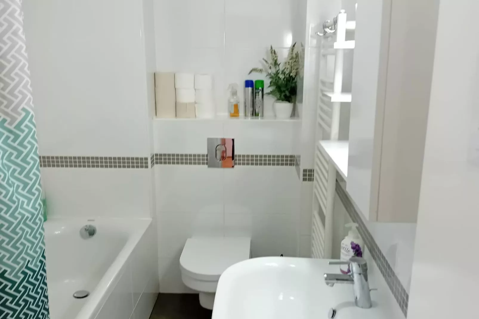 Apartments Cankareva-Bathroom