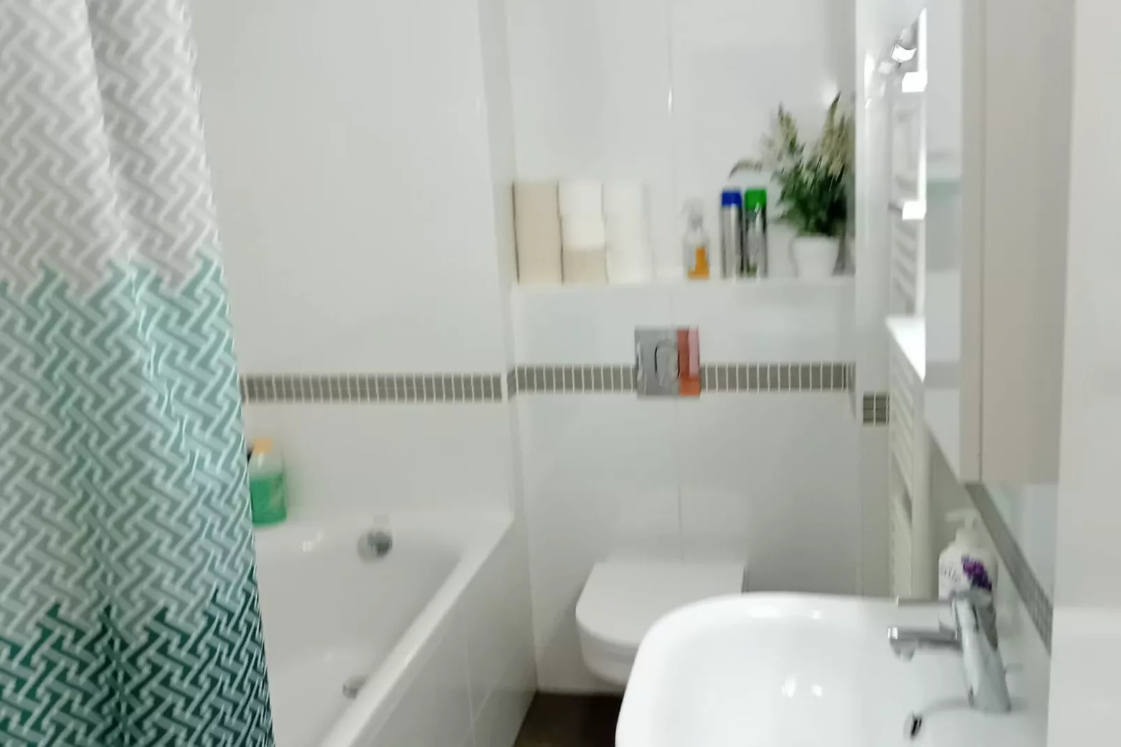 Apartments Cankareva-Bathroom