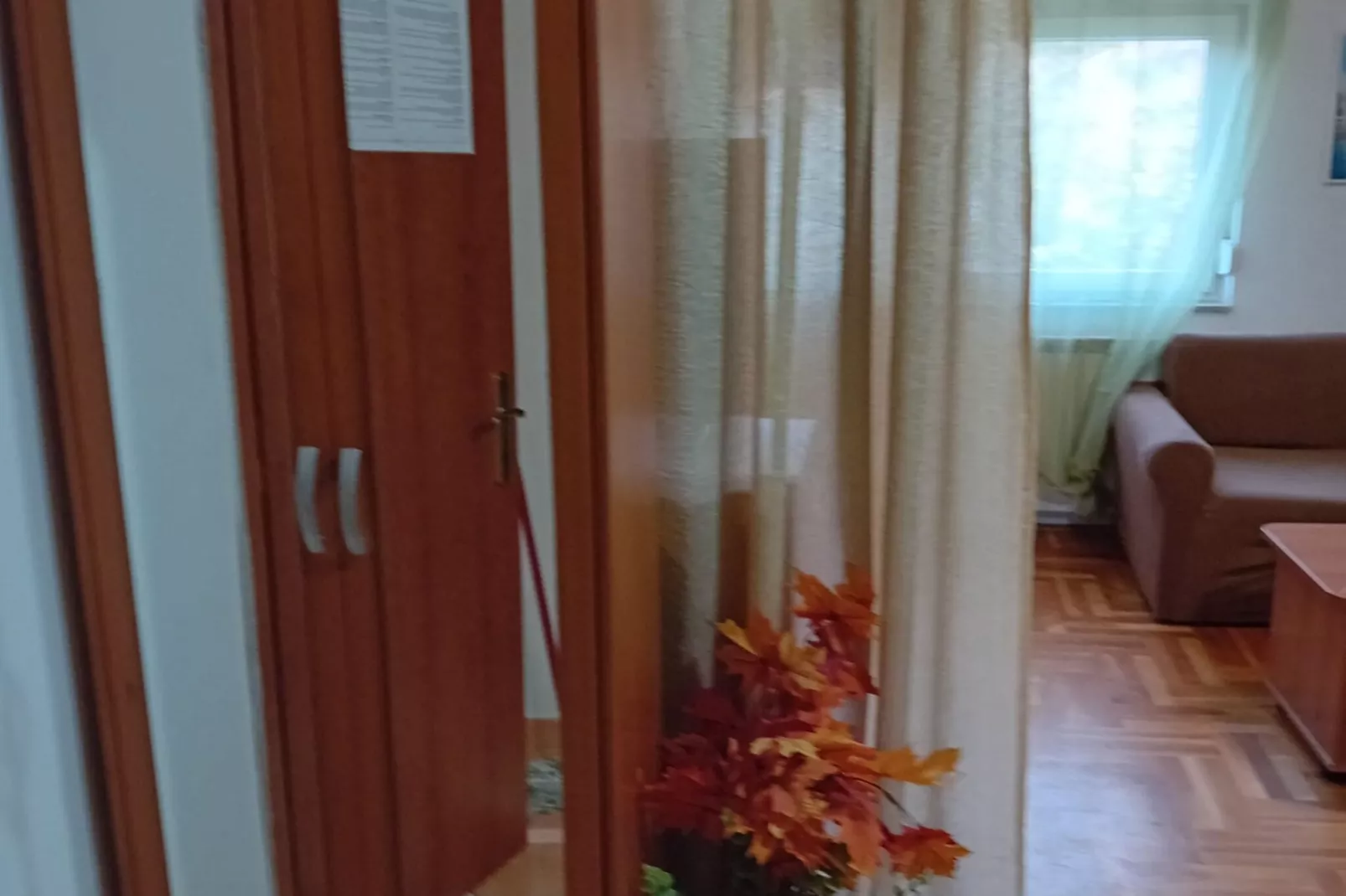 Apartments Petrova-Salon