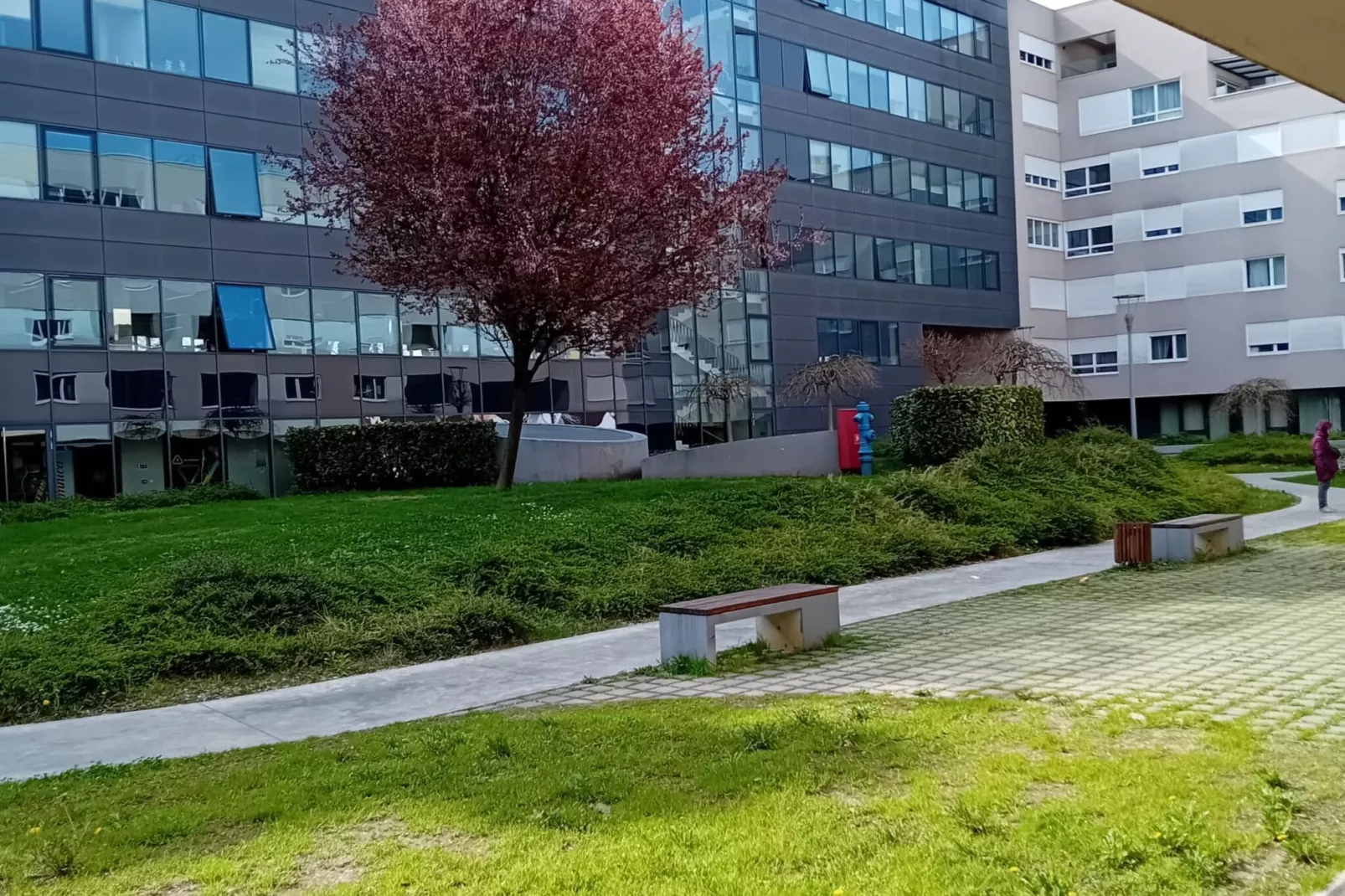 Apartments Cankareva-Outdoor