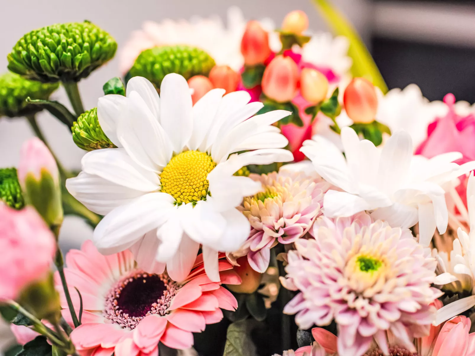 Fishertown Apartment 1st Floor-Outside