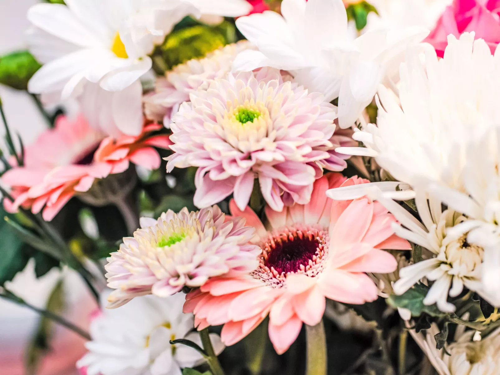 Fishertown Apartment 1st Floor-Inside