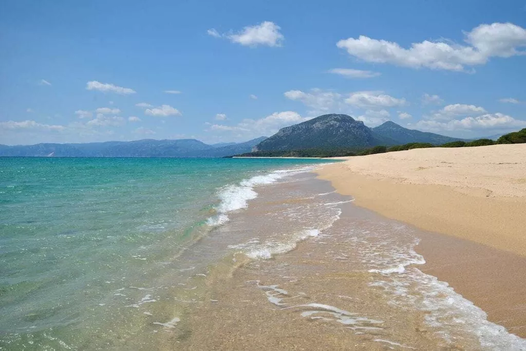 240496-Nicht zugeordnet