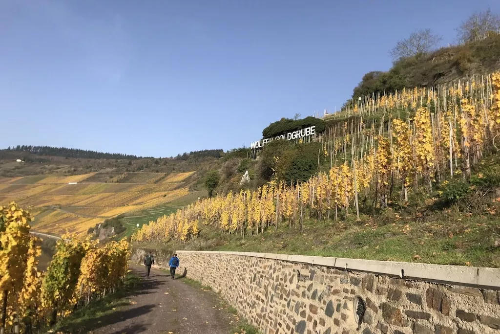 6636-Nicht zugeordnet