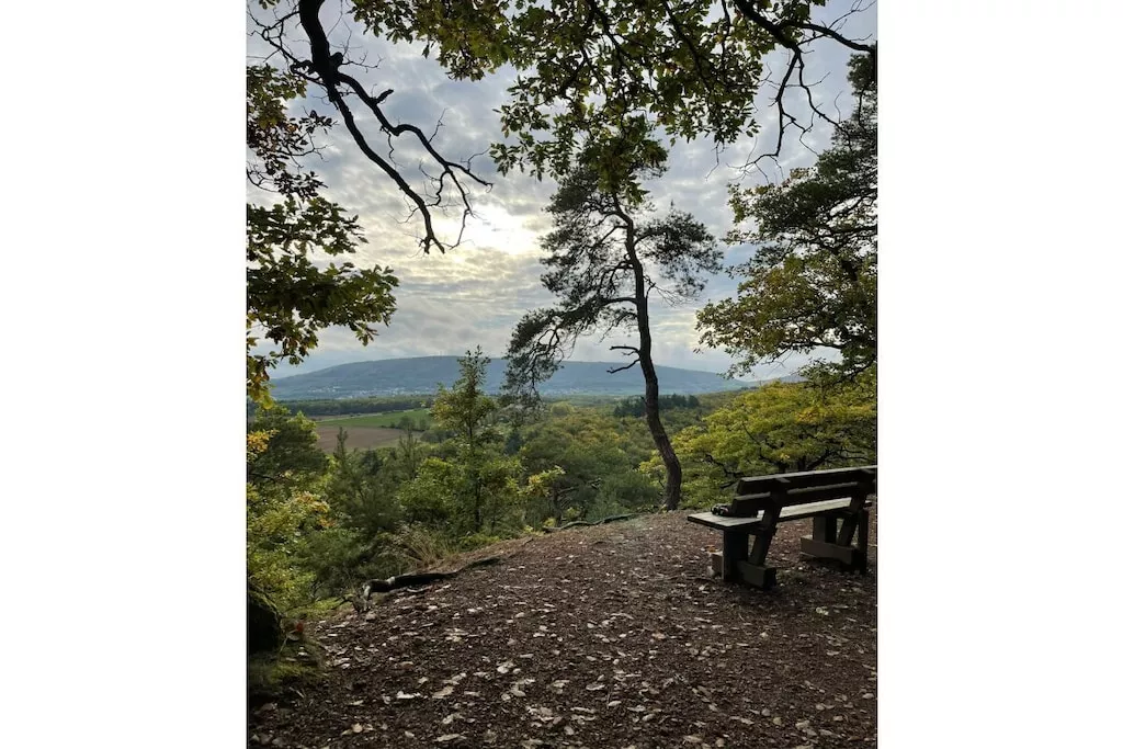 437754-Nicht zugeordnet