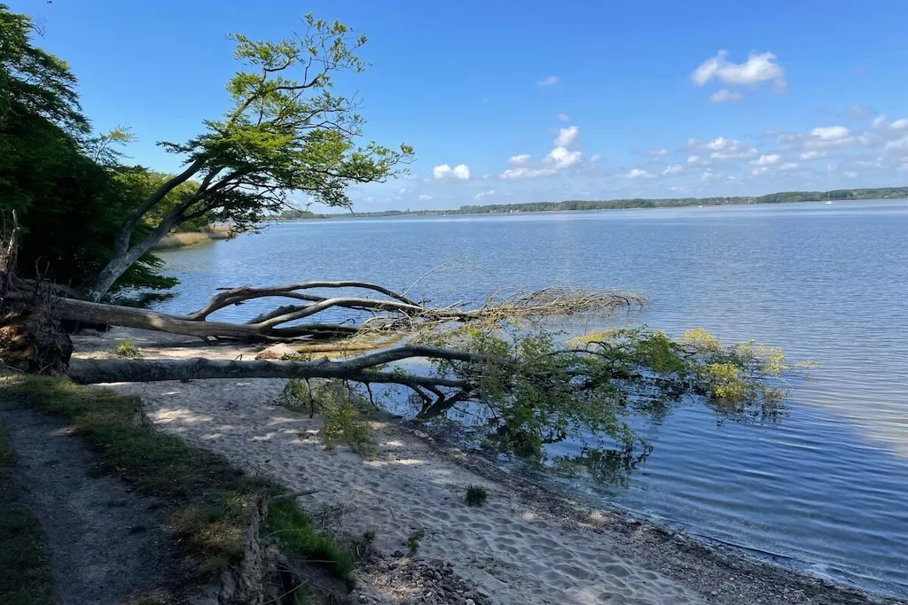 453376-Nicht zugeordnet