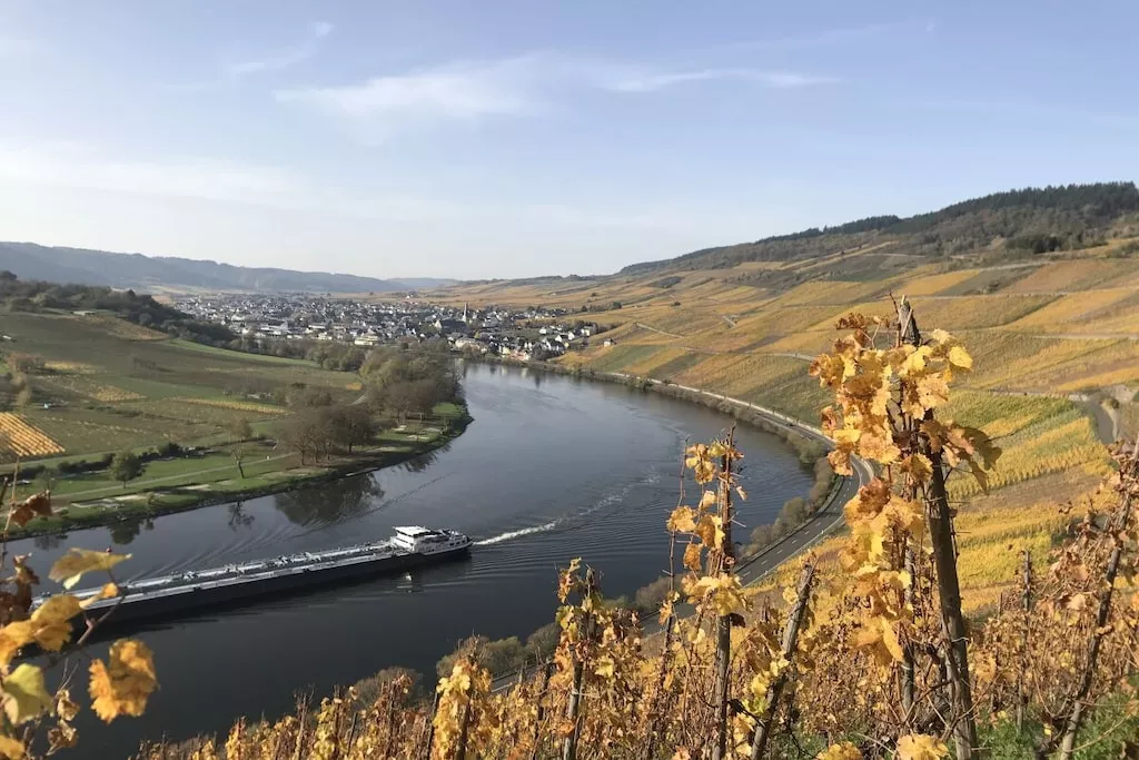 6636-Nicht zugeordnet