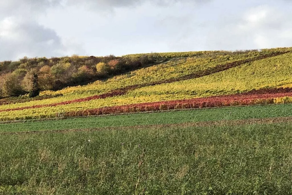 437754-Nicht zugeordnet