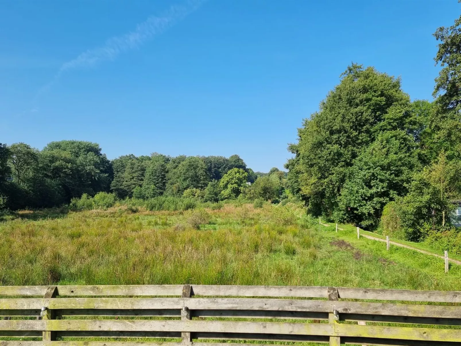 "Assarina" - 15m from the sea-Dehors