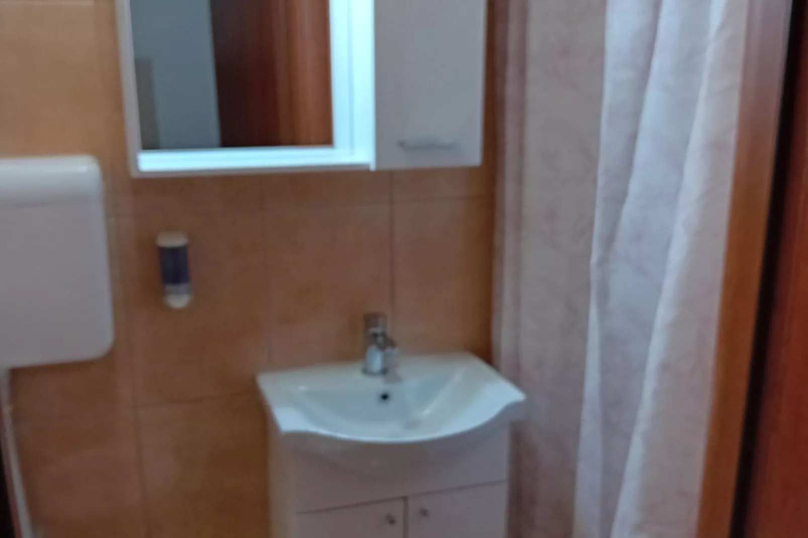 Apartments Petrova-Salle de bain