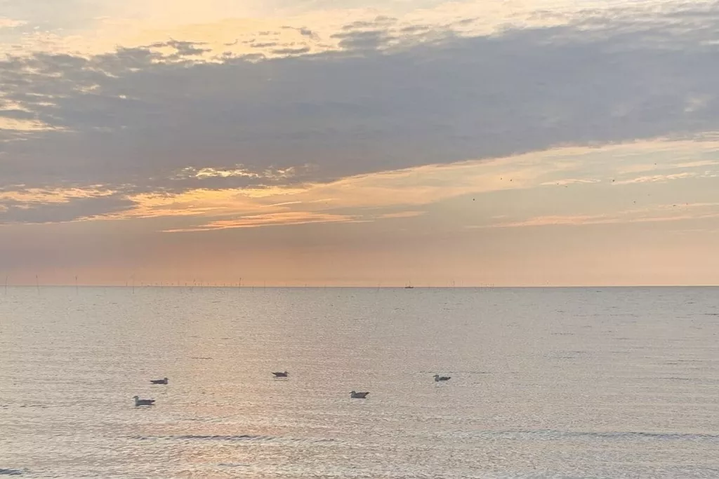 520270-Nicht zugeordnet