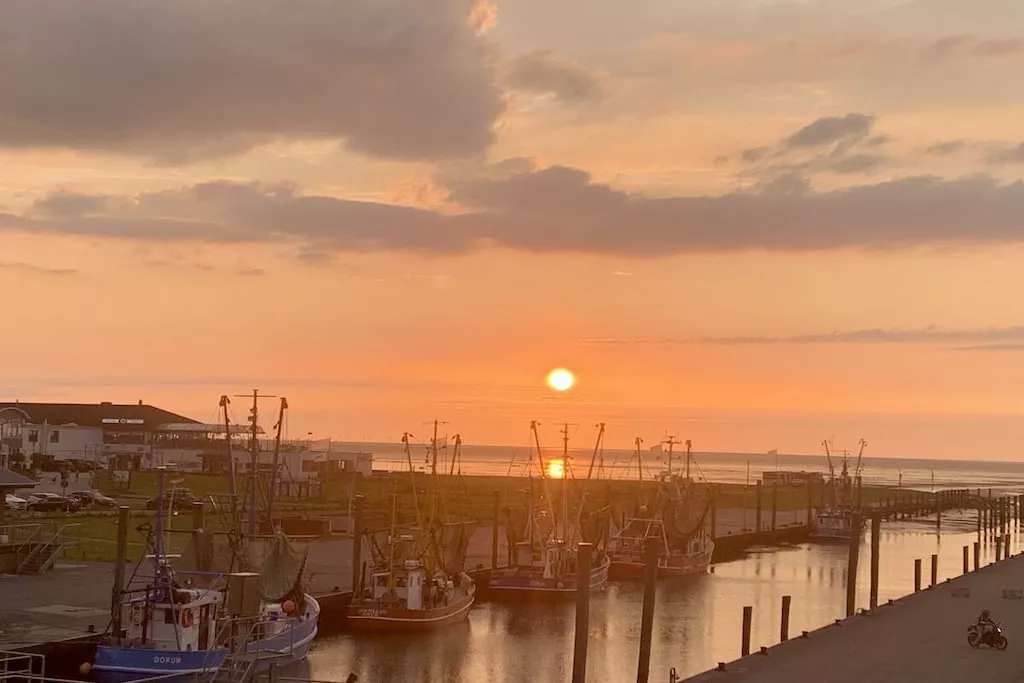 520270-Nicht zugeordnet