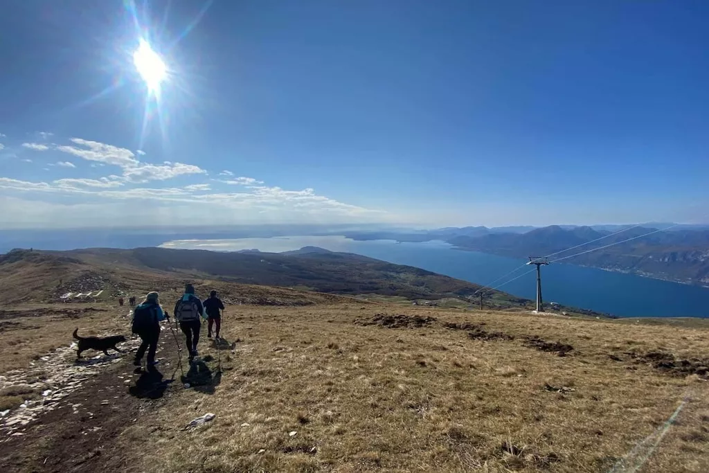 605841-Nicht zugeordnet