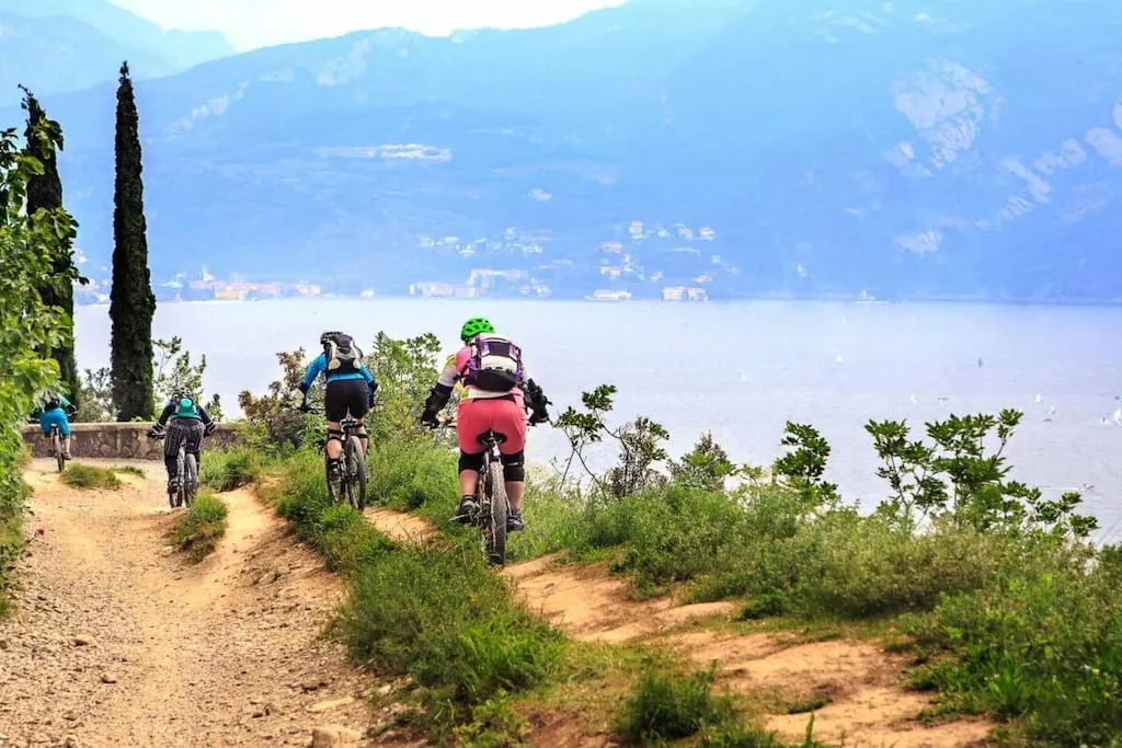 605841-Nicht zugeordnet