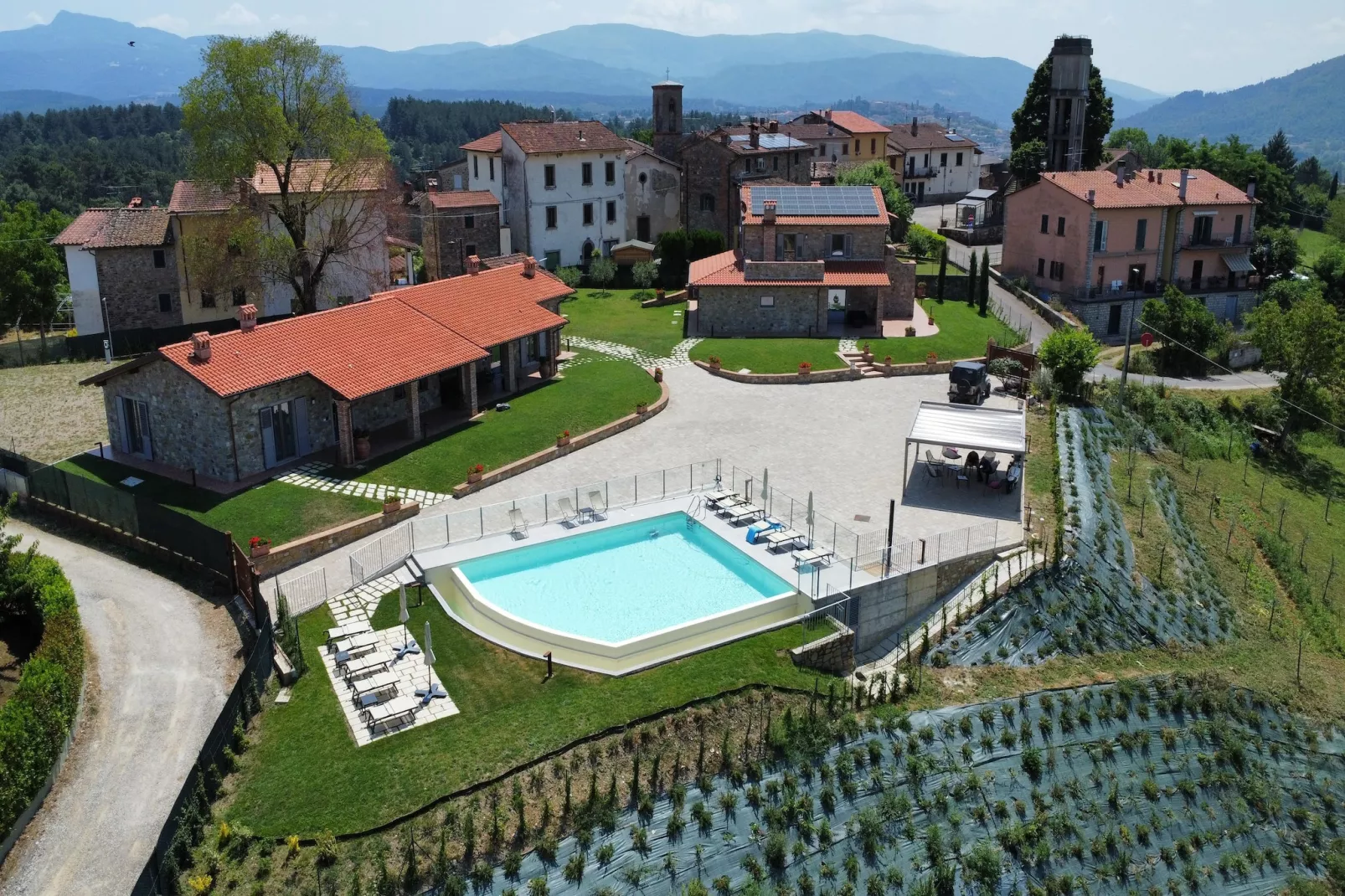 Orchidea-Exterior in summer