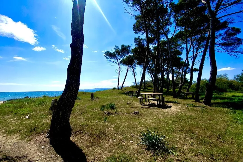 627037-Nicht zugeordnet