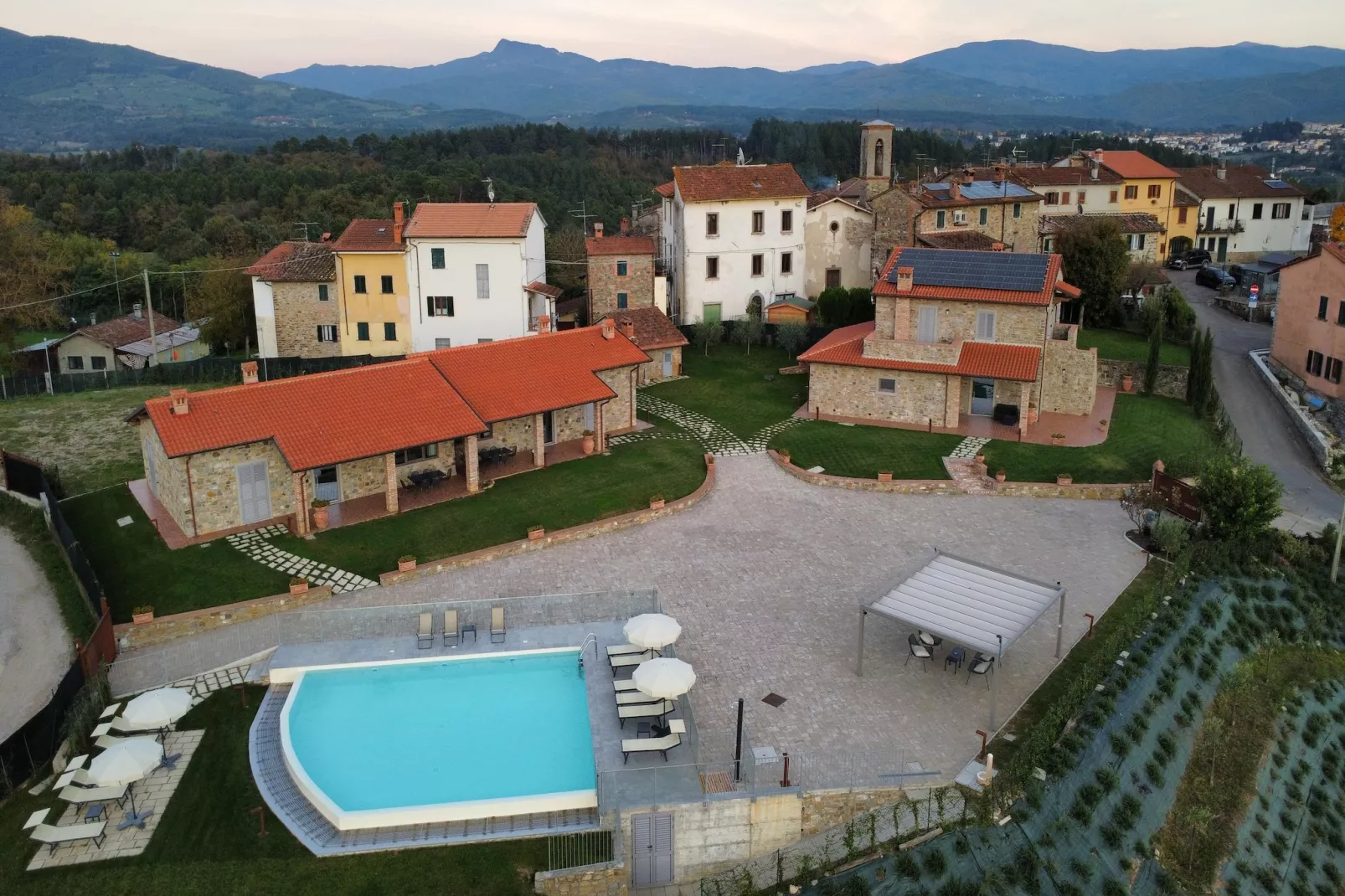 Primula-Extérieur été