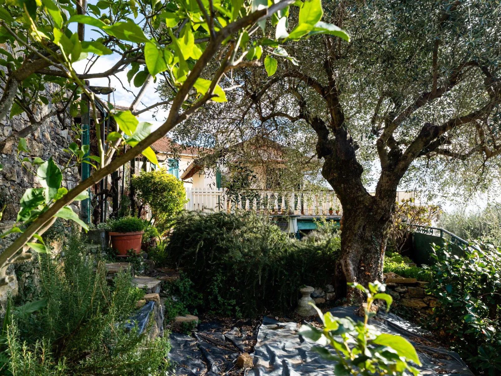 Villetta Luciano-Dehors