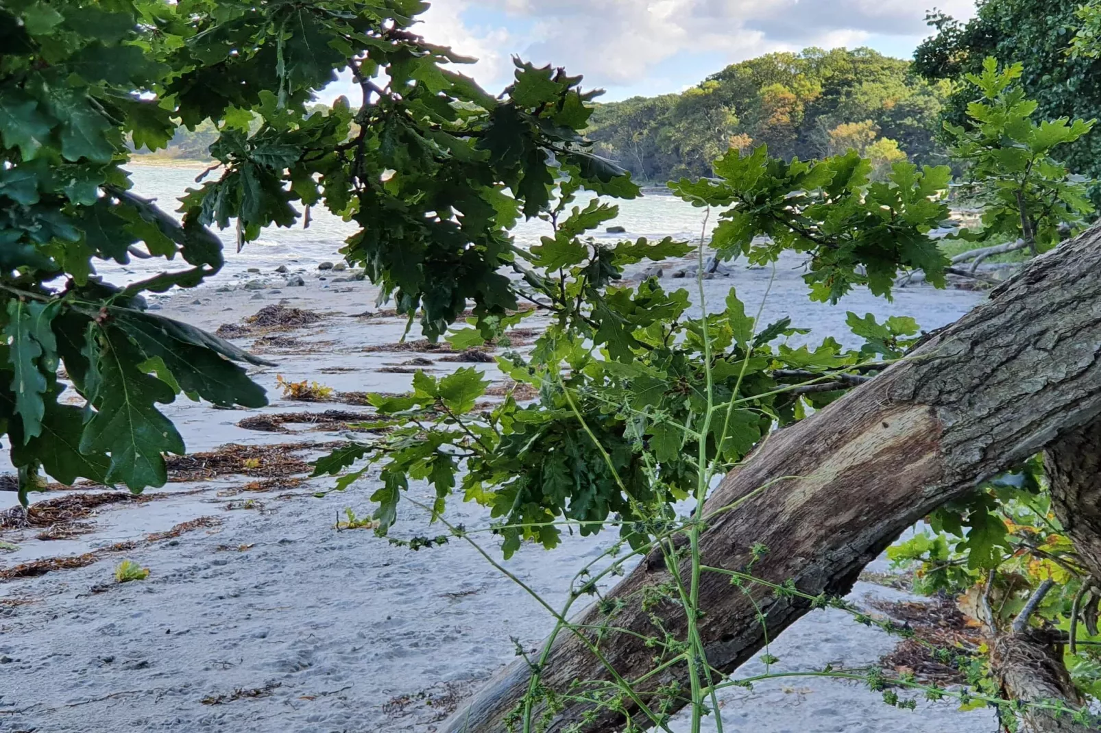 6 person holiday home in Asnæs-By Traum