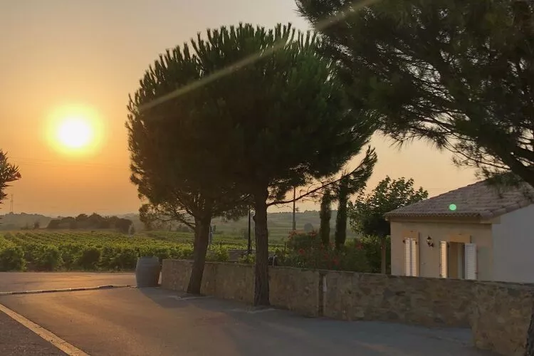 Villa Le Cabernet-Gardens summer