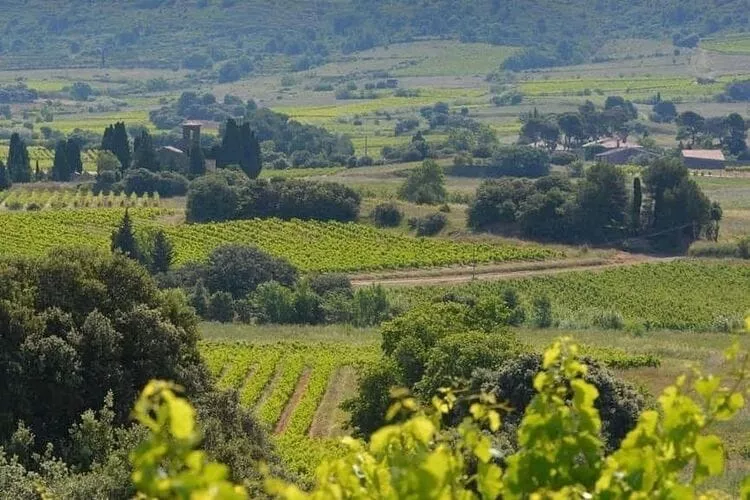 Villa Le Cabernet-Areas summer 5km