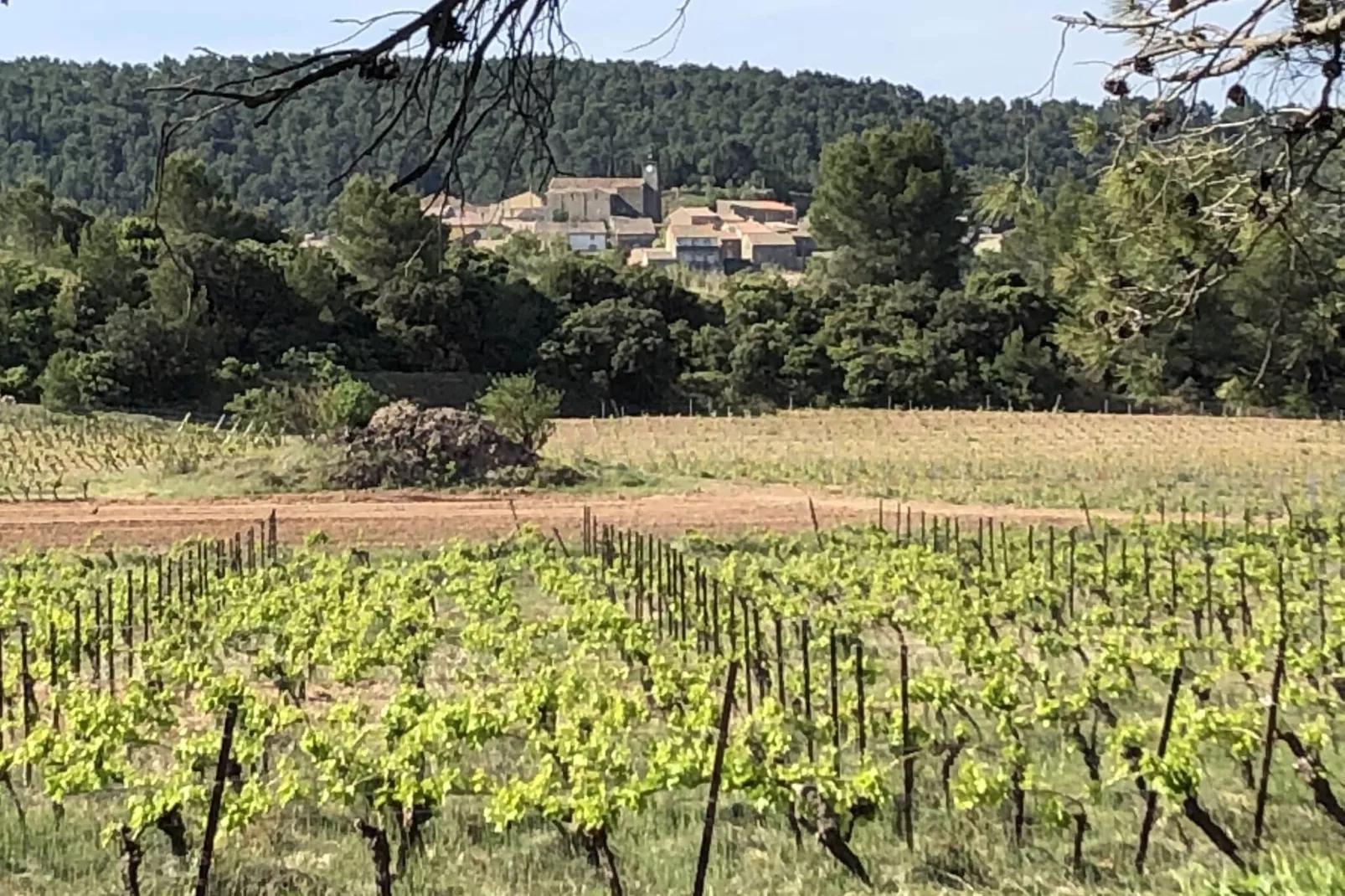 Villa le Syrah-Areas summer 1km
