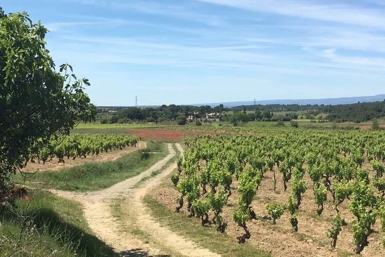 Villa le Syrah-Areas summer 5km