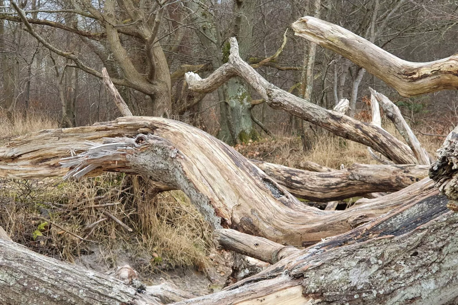 6 person holiday home in Asnæs-By Traum