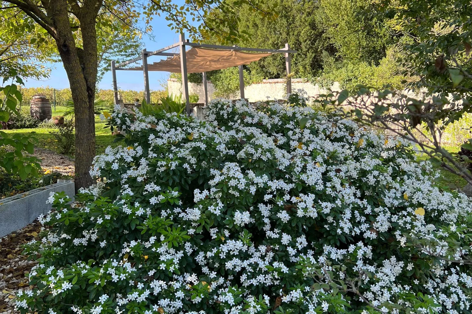 Cottage Côte Atlantique-Gardens summer