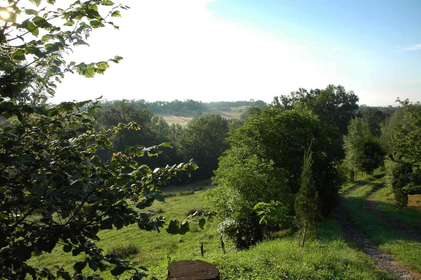Gite La Porcherie-View summer