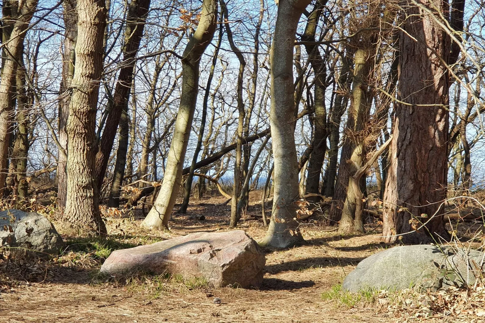 6 Personen Ferienhaus in Asnæs-By Traum