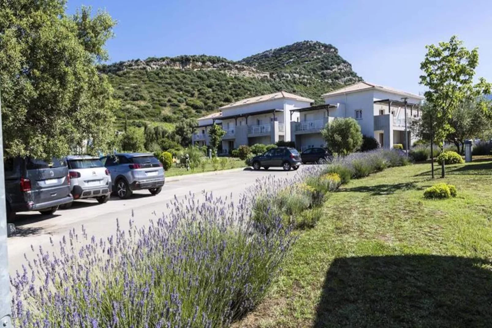 Résidence Odalys Casa d'Orinaju