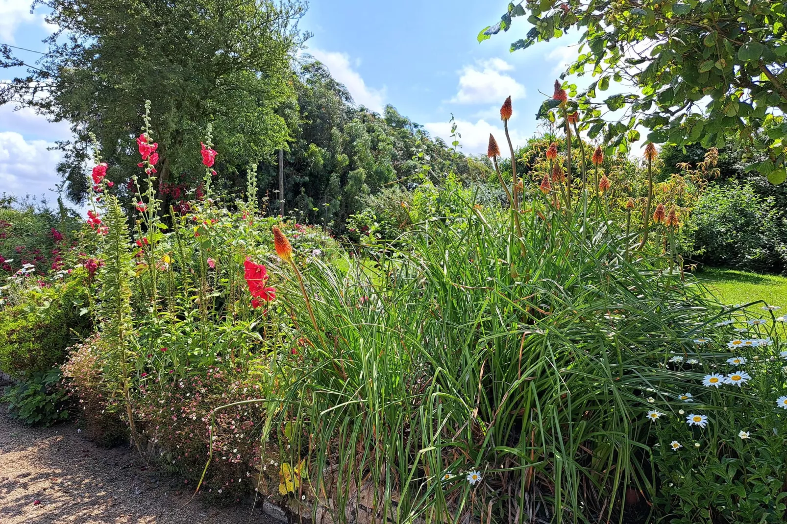 Ferienhaus in Sibiril-Gardens summer