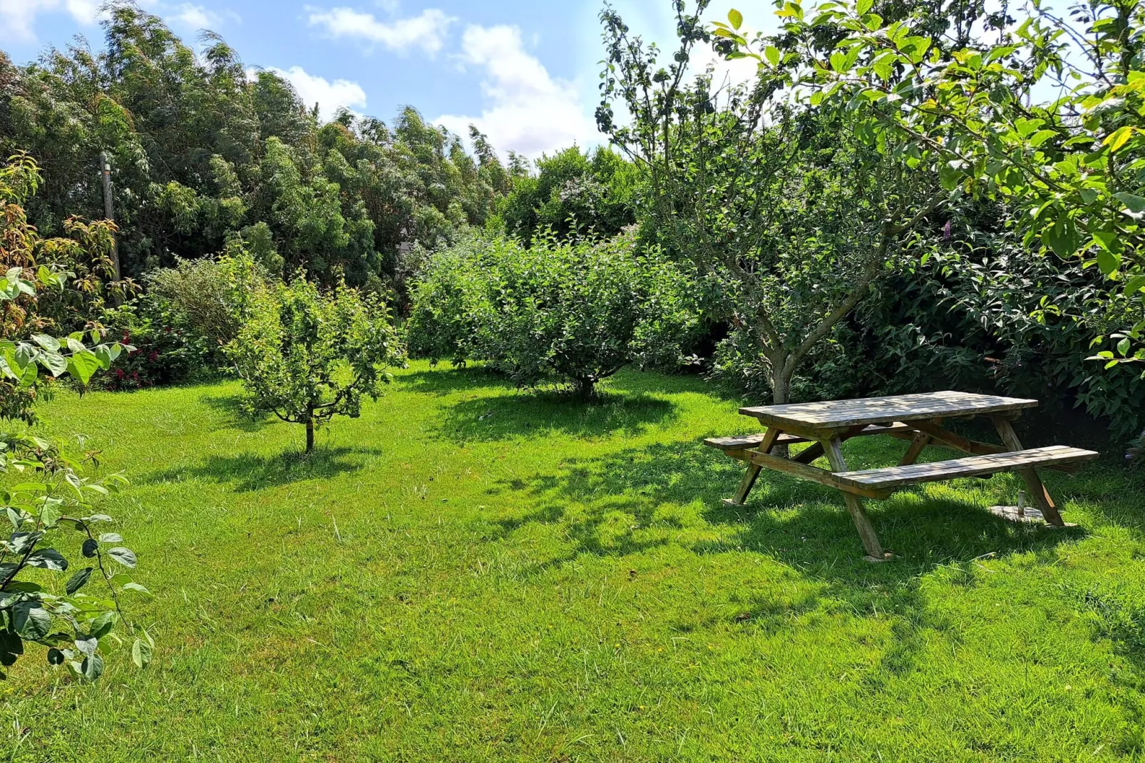 Ferienhaus in Sibiril-Gardens summer