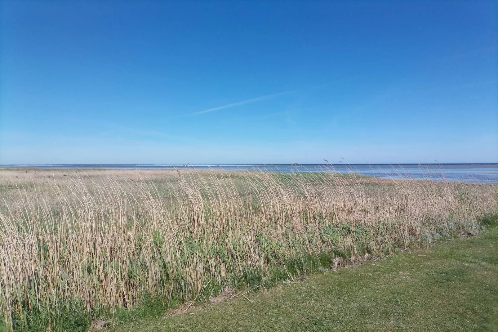 6 person holiday home in Ørsted-By Traum-Untagged