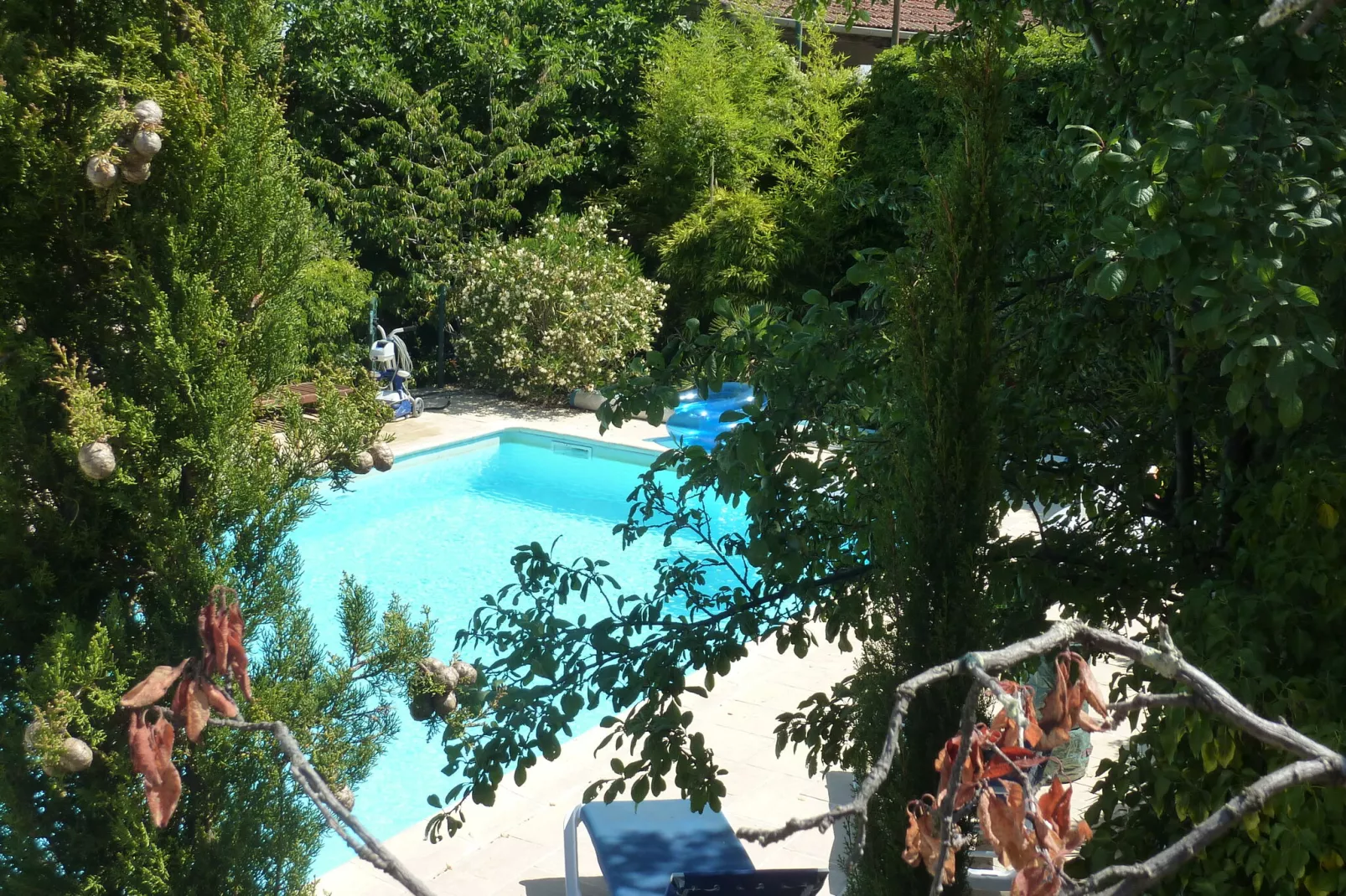 Cottage around a swimming pool in a small villa-Gardens summer