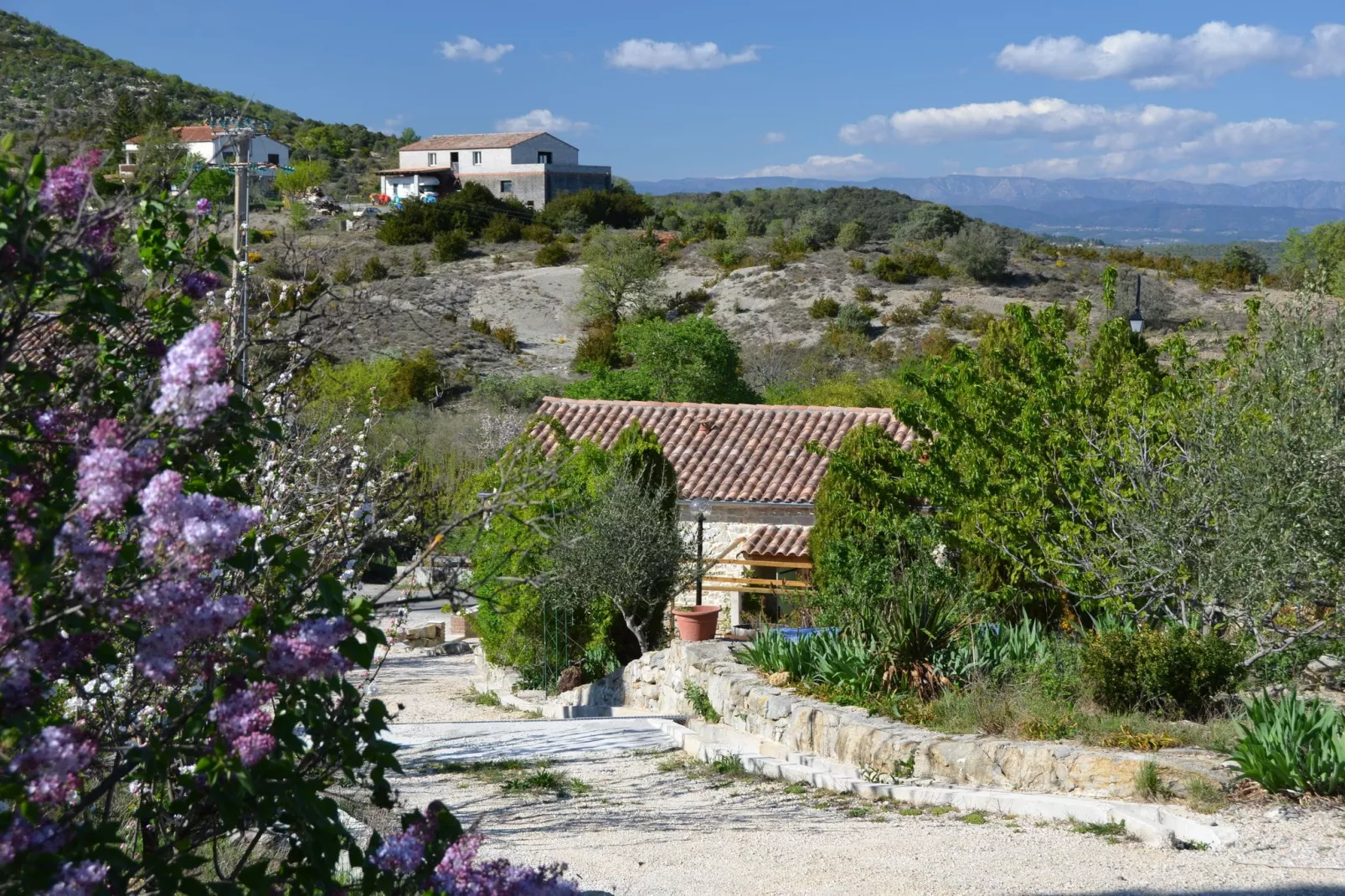 Cottage around a swimming pool in a small villa-Gardens summer