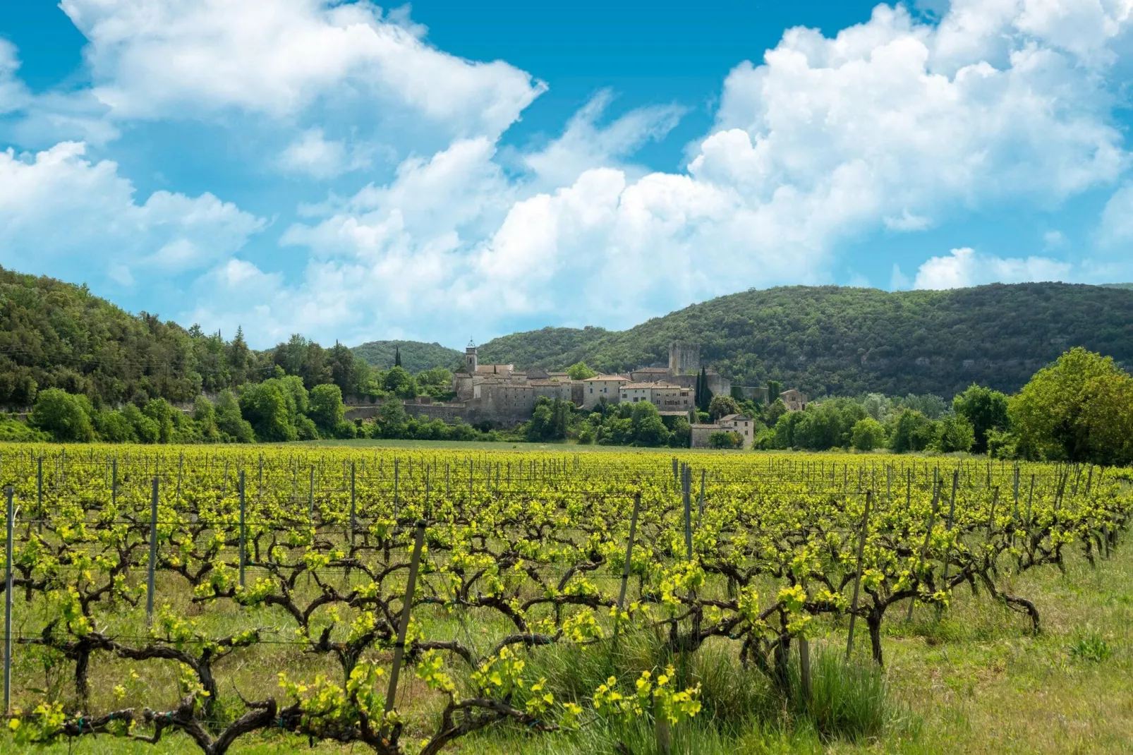 Le Travers-Areas summer 5km
