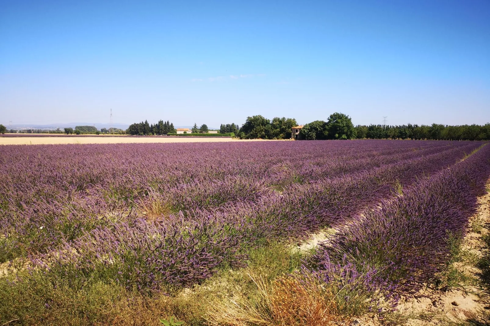 Vakantierust-Areas summer 5km