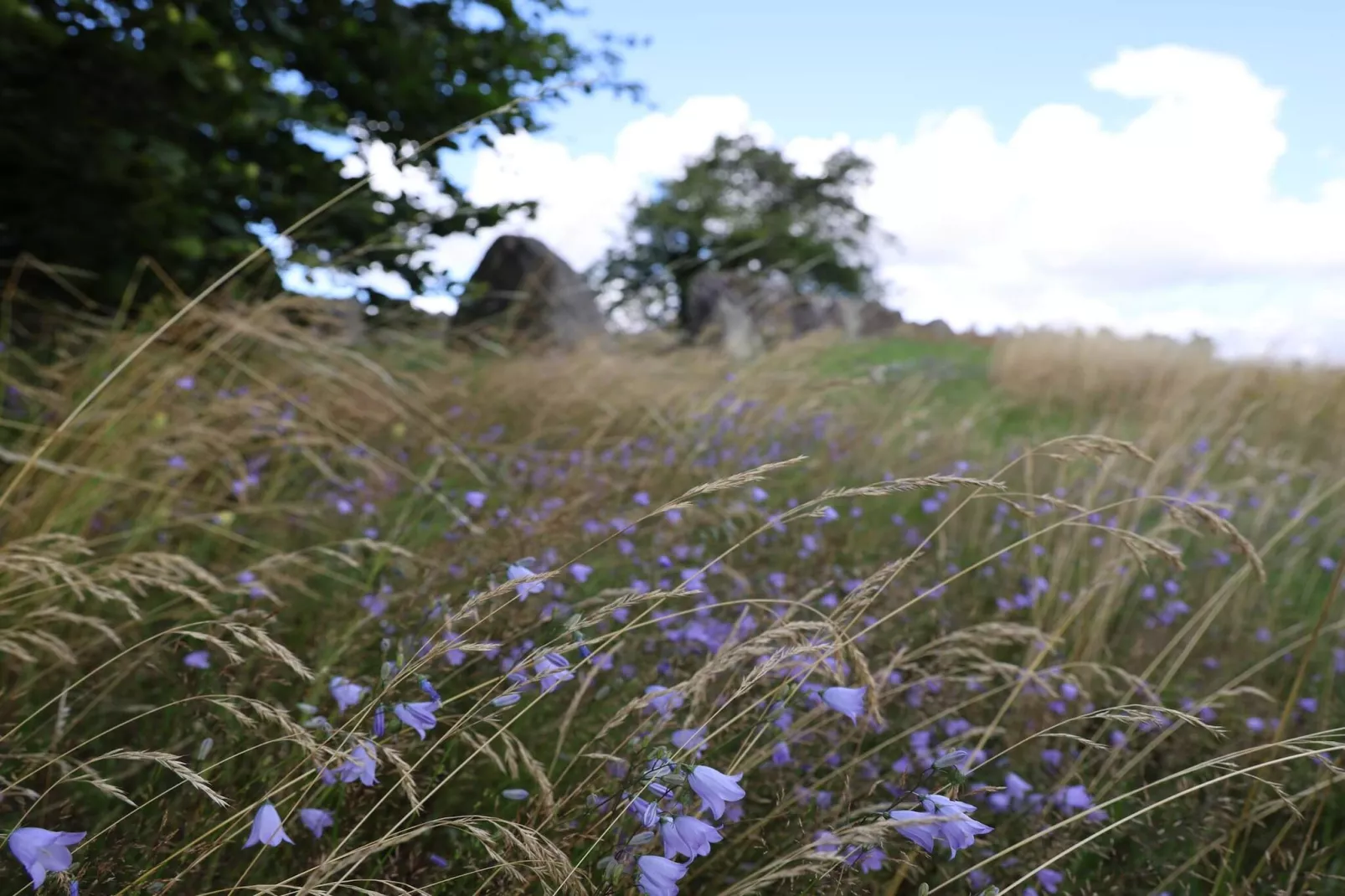 6 person holiday home in Grevinge-By Traum-Untagged