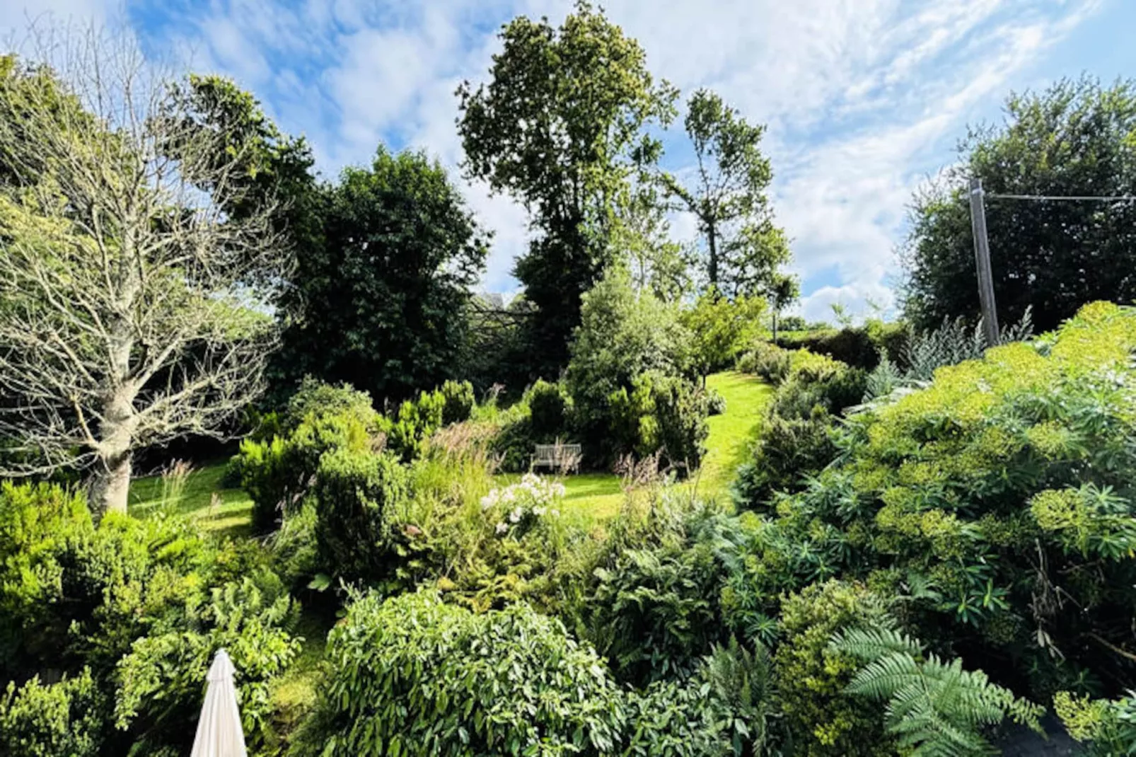 Maison à Plougrescant-Image-tags.