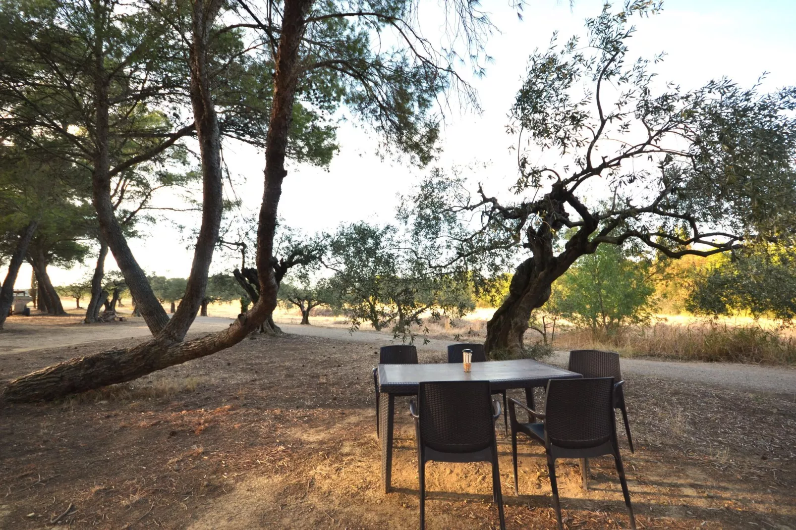 Le trois chambres-Landing