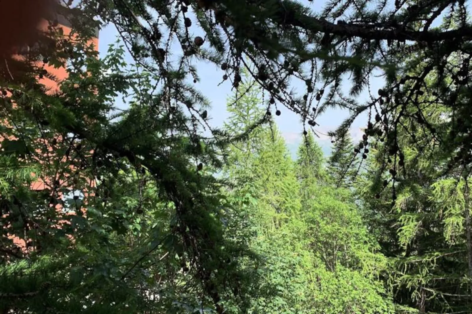 Résidence J3-Image-tags.