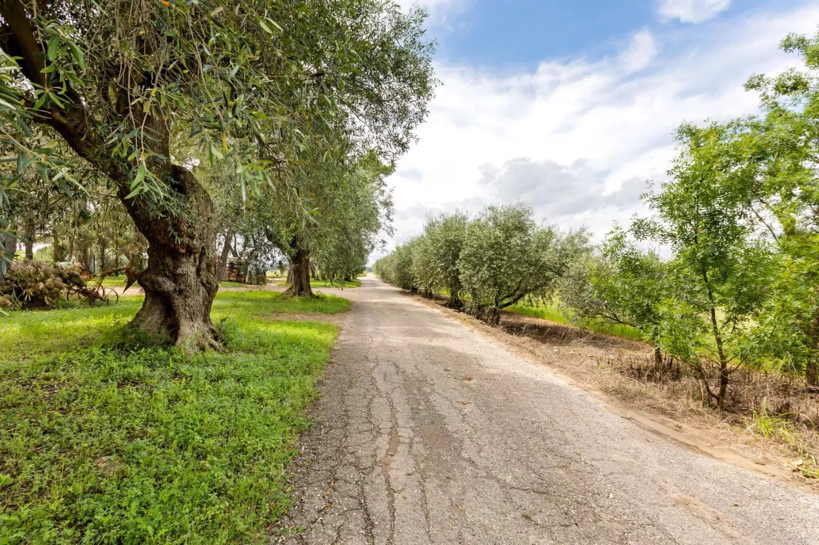 LE DALI-Gebiete Sommer 5 km